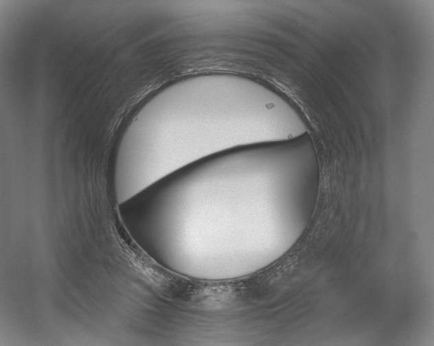 X0000056030353200508190958