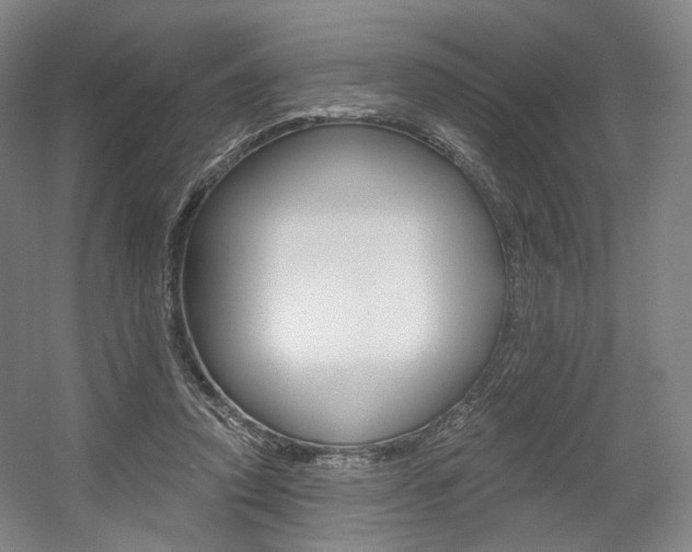 X0000056030354200508190958