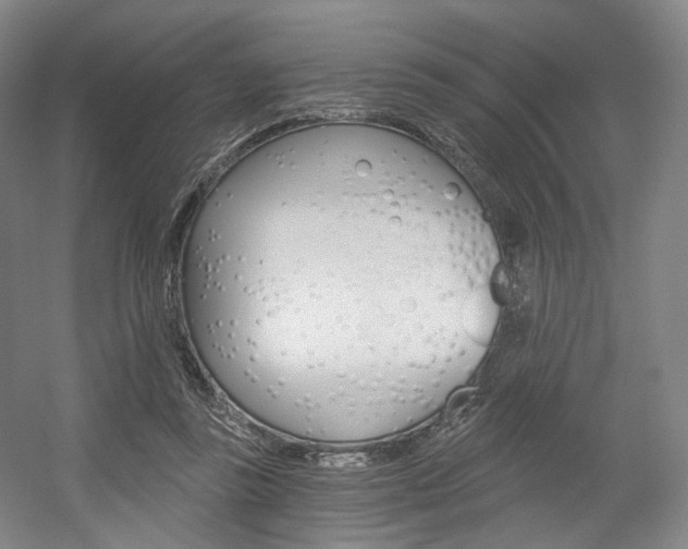X0000056030355200508190958