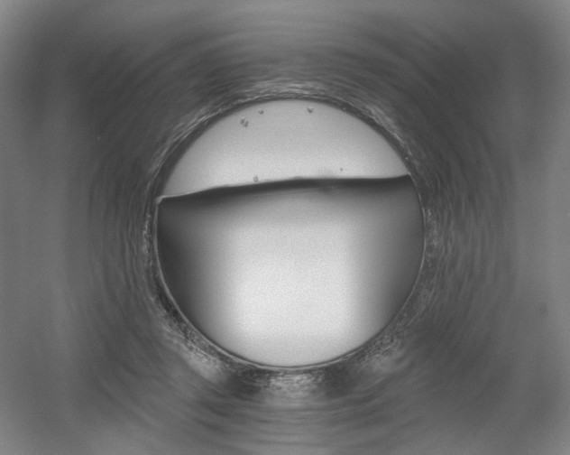 X0000056030357200508190958