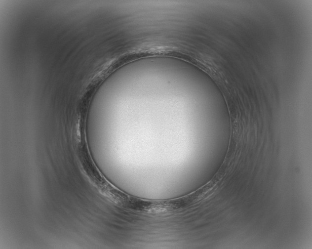 X0000056030358200508190958