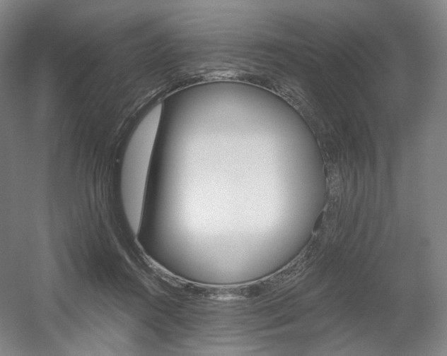 X0000056030360200508190958