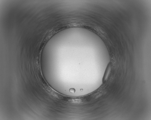 X0000056030361200508190958