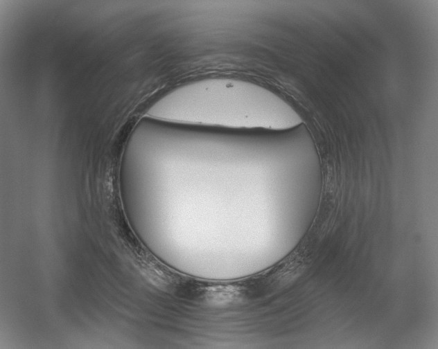 X0000056030363200508190958