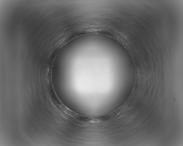 X0000056030364200508190958