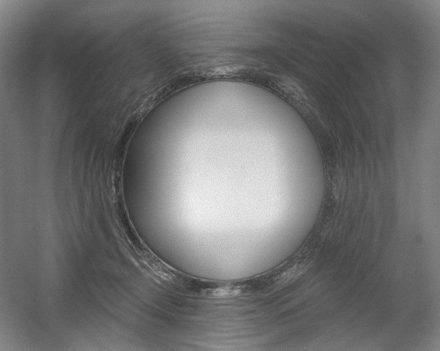 X0000056030366200508190958