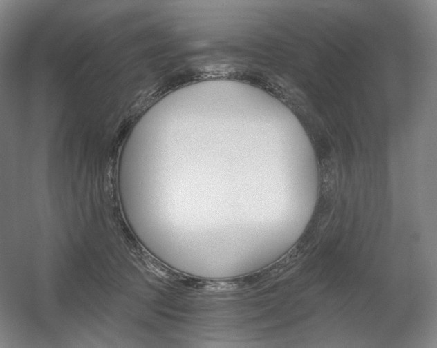 X0000056030369200508190958
