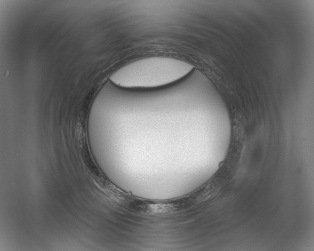X0000056030371200508190958