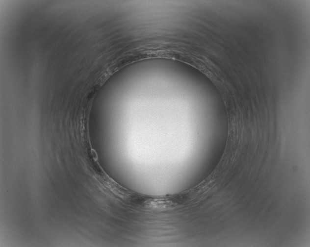 X0000056030372200508190958