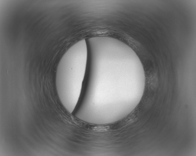 X0000056030373200508190958