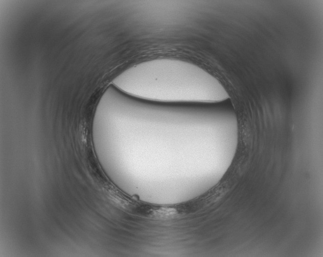 X0000056030374200508190958