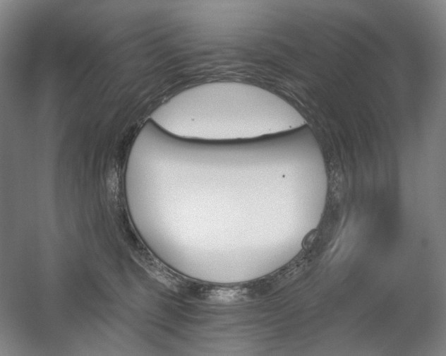 X0000056030375200508190958