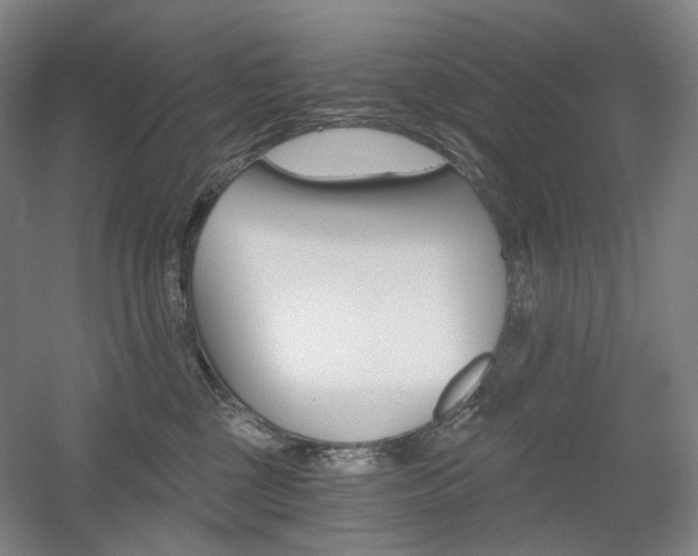 X0000056030377200508190958