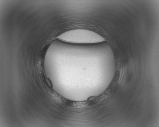 X0000056030378200508190958