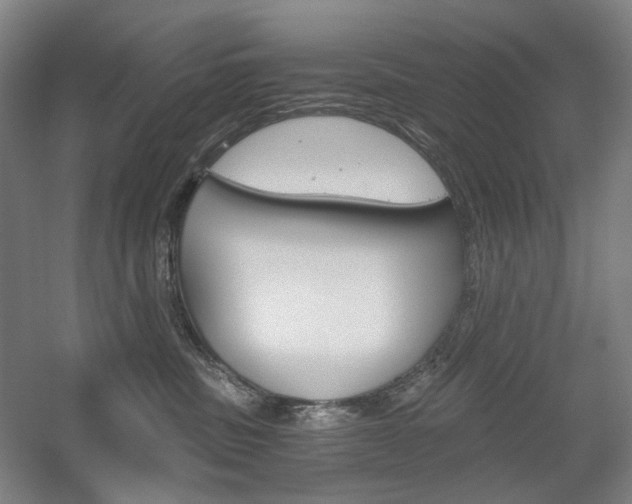 X0000056030379200508190958