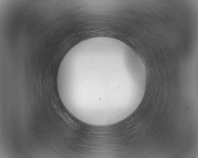 X0000056030380200508190958