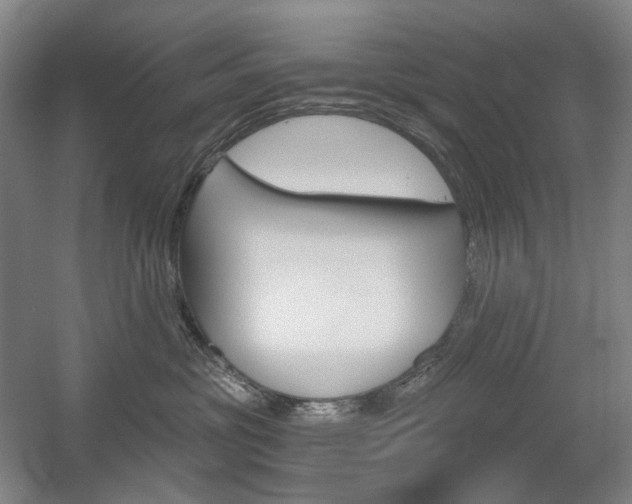 X0000056030381200508190958
