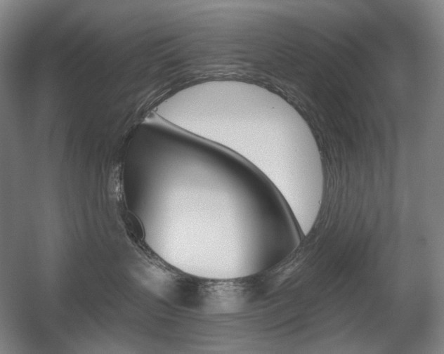 X0000056030383200508190959