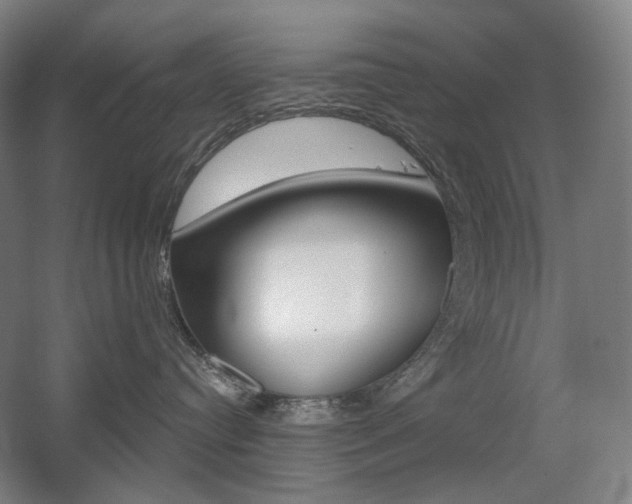 X0000056030384200508190959