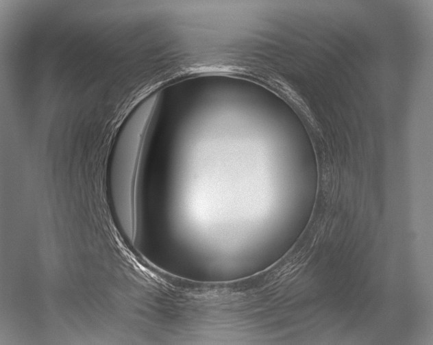 X0000056030385200508190958