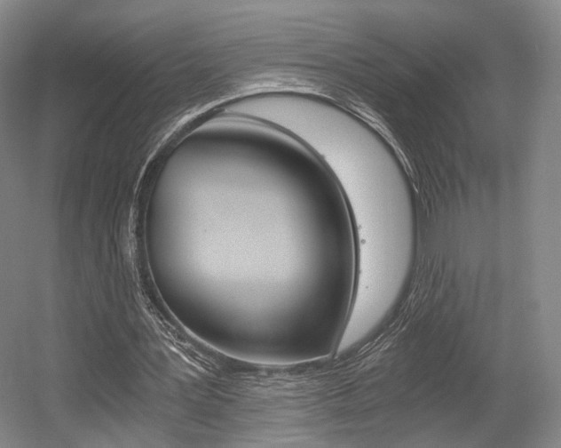 X0000056030387200508190958