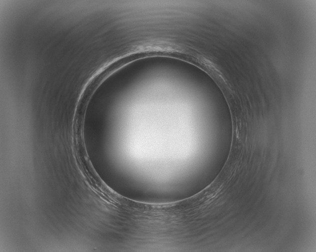 X0000056030388200508190958