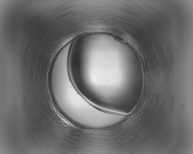 X0000056030389200508190958