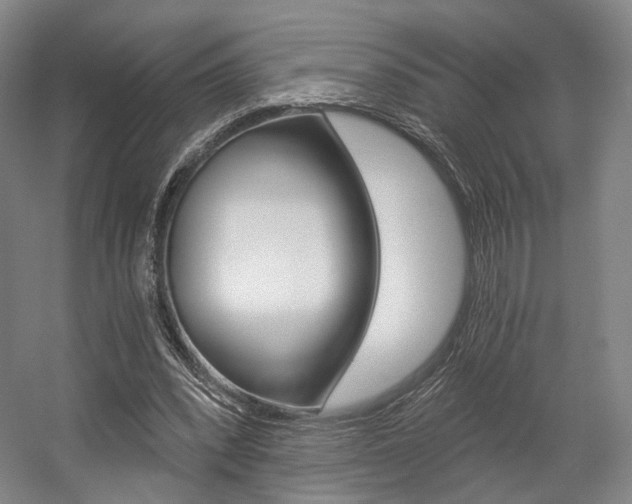 X0000056030392200508190958
