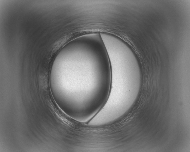 X0000056030393200508190958