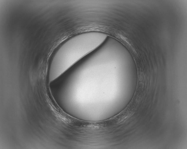 X0000056030394200508190958