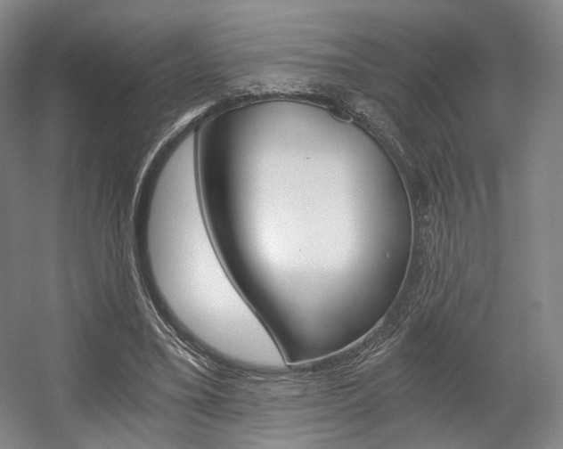 X0000056030395200508190958