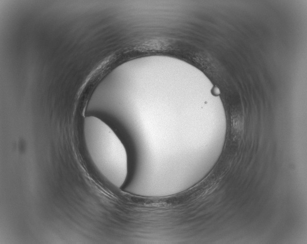 X0000056030396200508190958