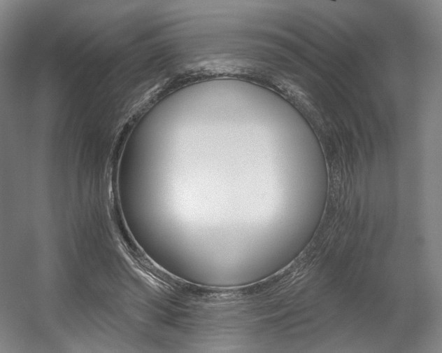 X0000056030398200508190958