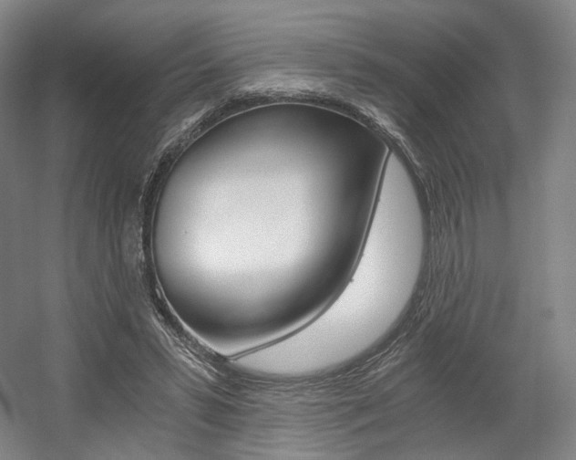 X0000056030399200508190957