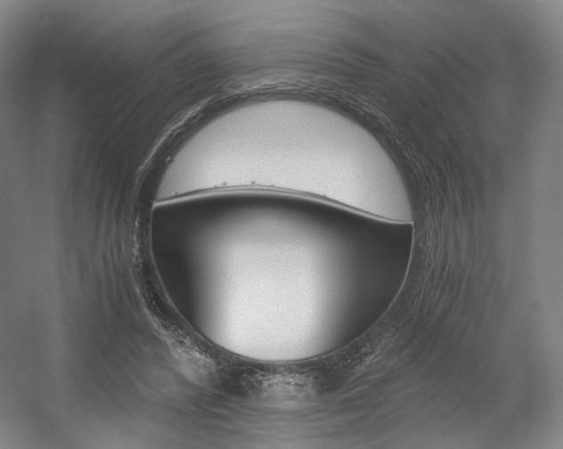 X0000056030400200508190957