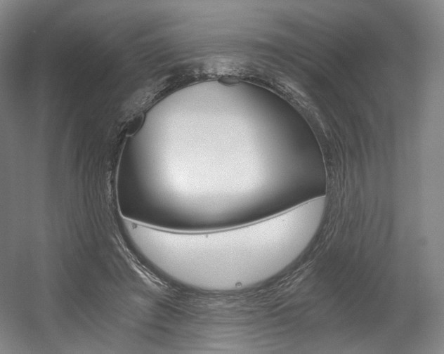 X0000056030401200508190957