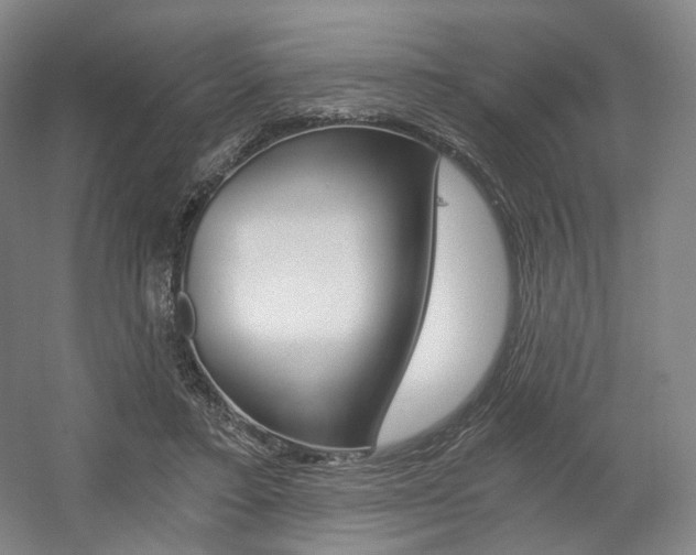 X0000056030403200508190957