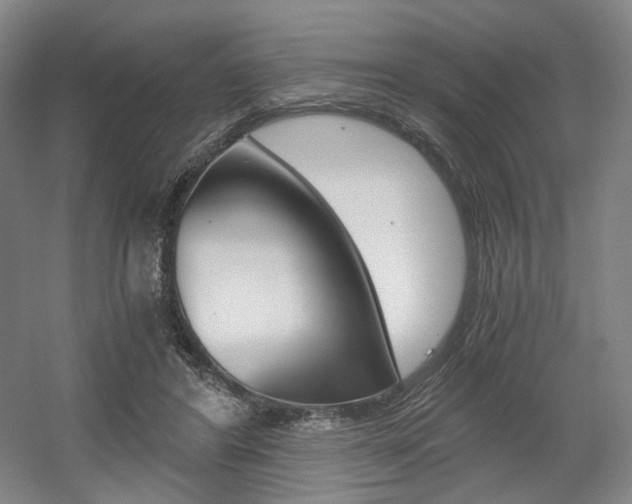 X0000056030404200508190957