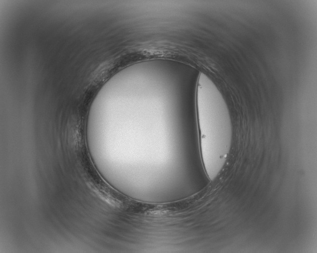 X0000056030408200508190957