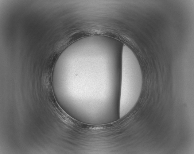 X0000056030409200508190957