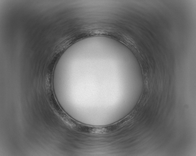 X0000056030410200508190957