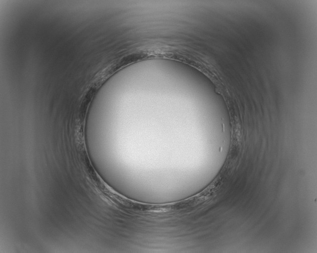 X0000056030411200508190957