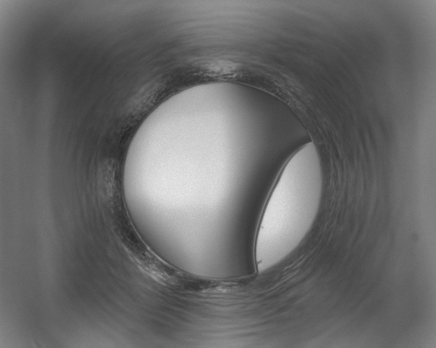 X0000056030412200508190957