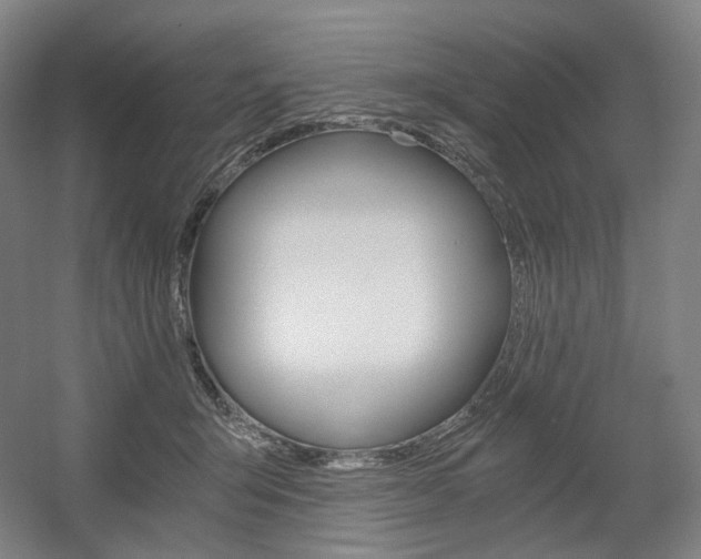 X0000056030415200508190957