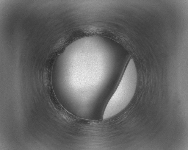 X0000056030416200508190957