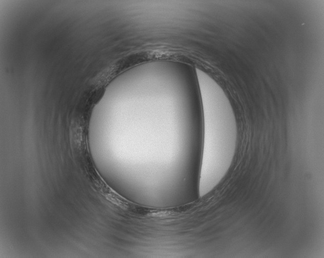 X0000056030417200508190957