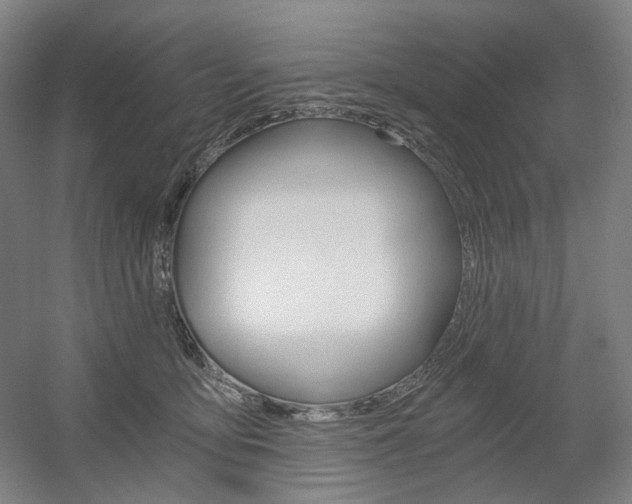 X0000056030419200508190957