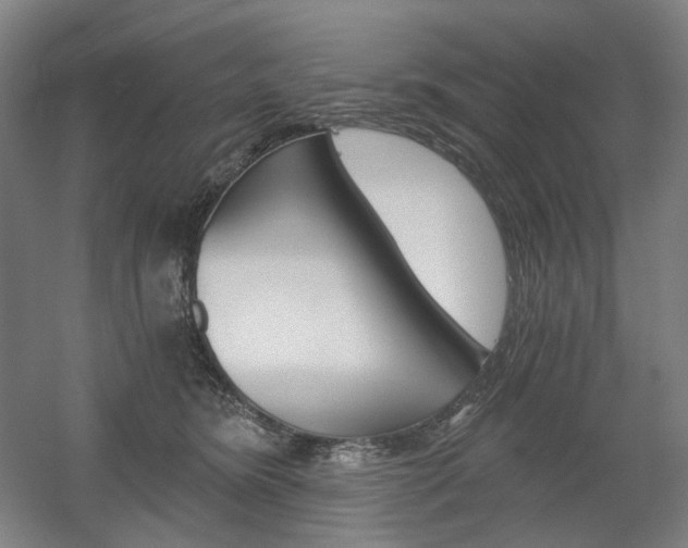 X0000056030420200508190957