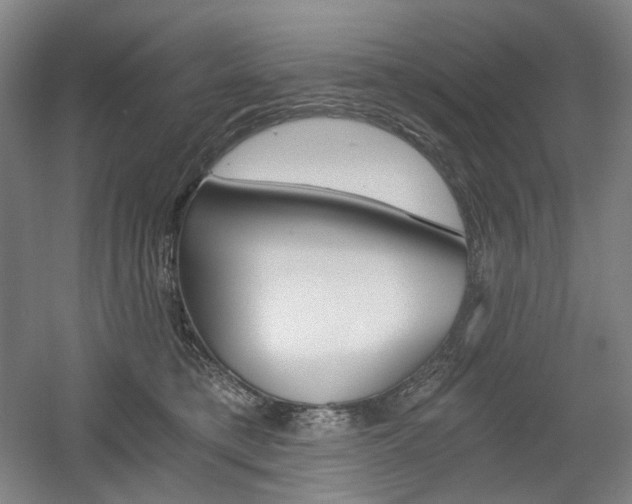 X0000056030421200508190957