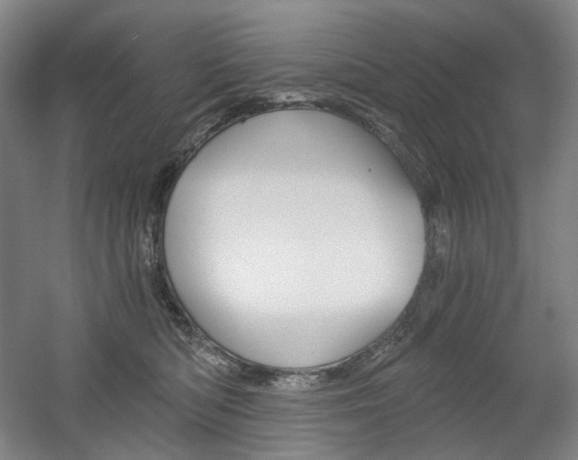 X0000056030422200508190957